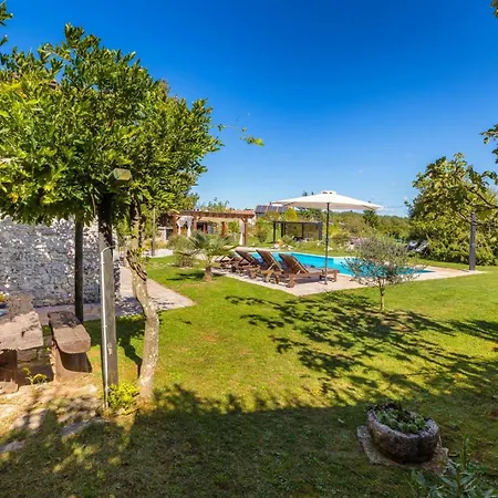 Villa House Dorstari